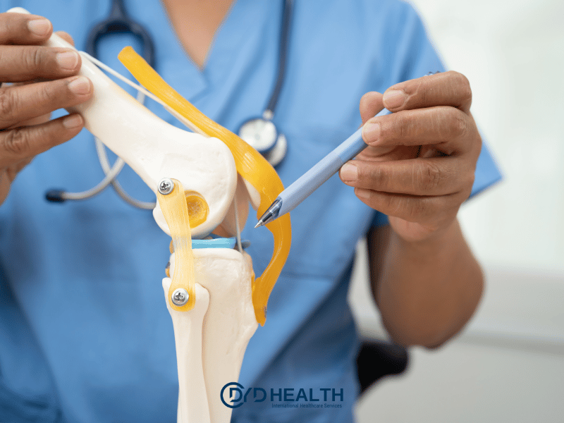 Diz Protezi Nedir?